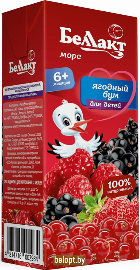 Морс из смеси ягод «Ягодный бум» для детского питания, 0.2 л.